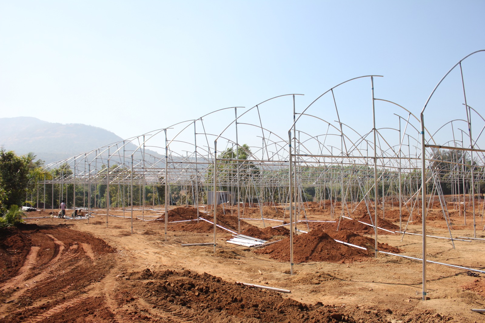 Greenhouse Project 18